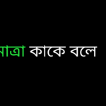 মাত্রা কাকে বলে?