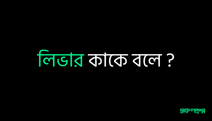 লিভার কাকে বলে Class 6: গুরুত্বপূর্ণ তথ্য ও কার্যাবলী