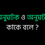 অনুঘটক ও অনুঘটন কাকে বলে