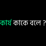 কার্য কাকে বলে