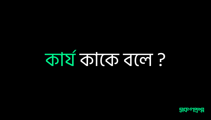 কার্য কাকে বলে