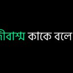 জীবাশ্ম কাকে বলে ?