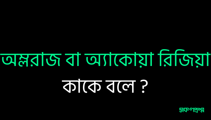 অম্লরাজ বা অ্যাকোয়া রিজিয়া কাকে বলে ?