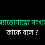 মোলার আয়তন কাকে বলে ?