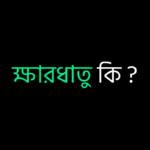 ক্ষারধাতু কি ?