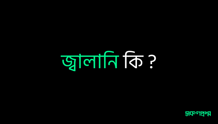 জ্বালানি কি ?