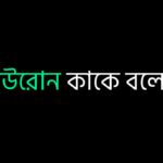 নিউরোন কাকে বলে ?