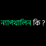 ন্যাপথালিন কি ?