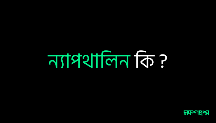 ন্যাপথালিন কি ?