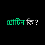 প্রোটিন কি ?