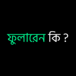 ফুলারেন কি ?