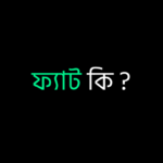 ফ্যাট কি ?