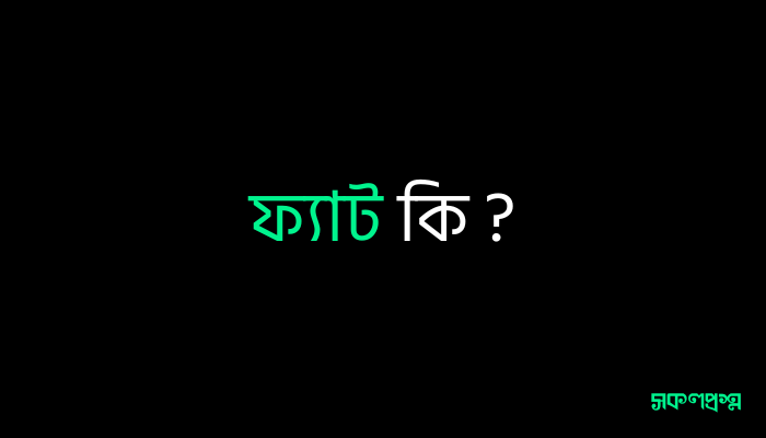 ফ্যাট কি ?