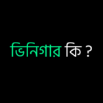 ভিনিগার কি ?