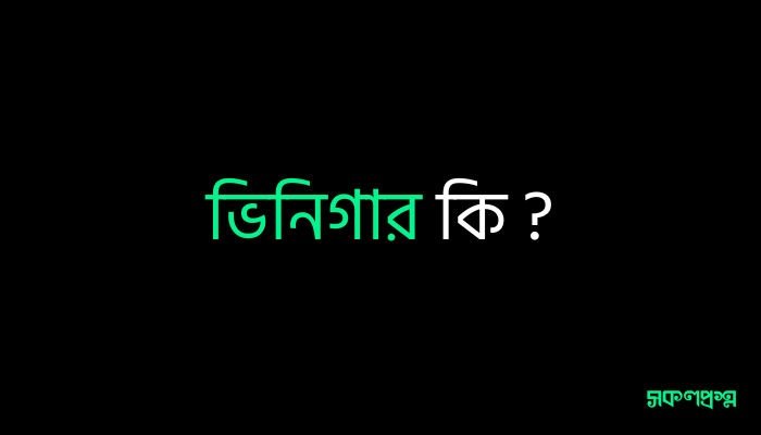 ভিনিগার কি ?