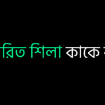 রূপান্তরিত শিলা কাকে বলে ?