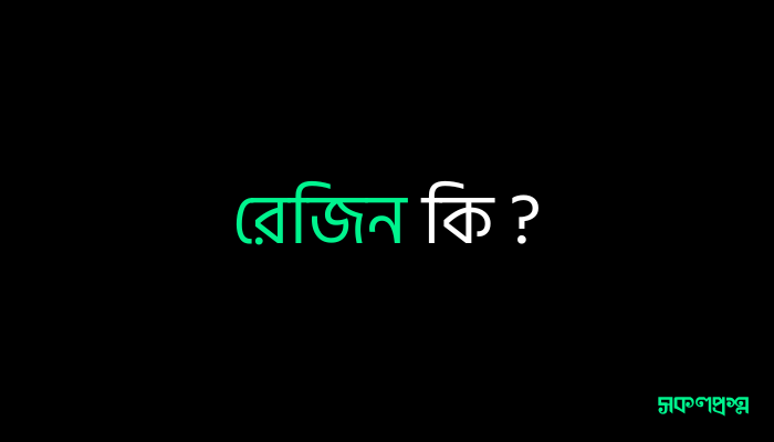রেজিন কি ?