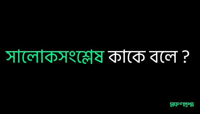 সালোকসংশ্লেষ কাকে বলে ?