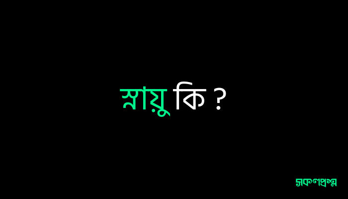 স্নায়ু কি ?