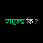 স্নায়ুতন্ত্র কি ?